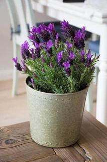 Ferienwohnung-Nr-22 - 1