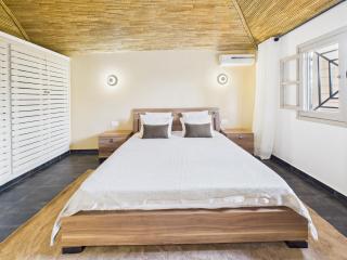 Villa Épuré Tribale - 4