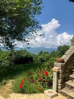 Tenuta Di Campagna Ristrutturata Tra Toscana E Umbria - 8