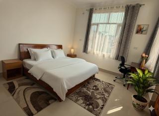 Dream Dhauladhar Escape - 2