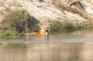 Crocodile Safari Camp - 9