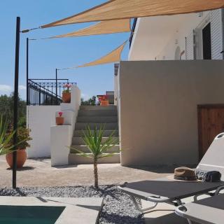 Sunsets and Olive Trees - 8