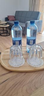 Apartament Sobieskiego nr 6 - 1