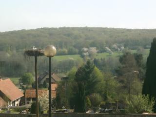 Gite La Saboterie 1609 - 6