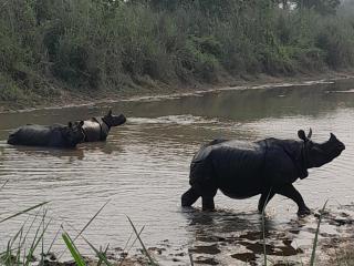 Crocodile Safari Camp - 8