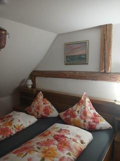 Ferienwohnung im Hinterland vom Bodensee - 1