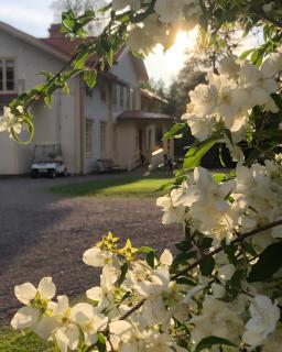 Snöå Bruk Hotell och konferens - 1