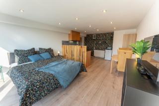 Modernes Apartment mit Odenwald-Panoramablick - 9