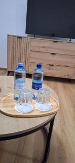 Apartament Sobieskiego 2, bezpłatny parking - 8