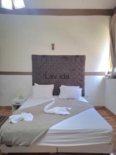 La vi da ve lv et - 3