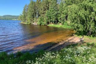 Lappnäs Bed & Breakfast - 7