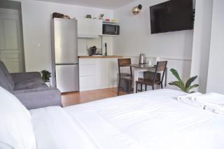 Nice renovated AC studio in Saint Germain - 1