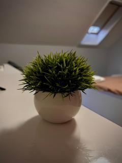 Гостинний дім Александрія - 1