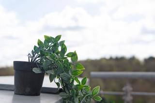 Familien-Apartment mit Seeblick - 4