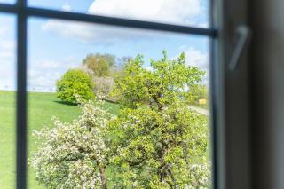 Apartment mit Gartenblick K1 206 - 5
