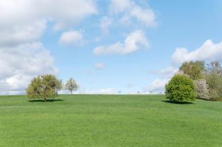 Apartment mit Gartenblick K1 206 - 3