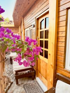 Roots Camp Dahab - 5