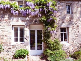 Moulin de la Touche - Mill Piscine Nature - 6