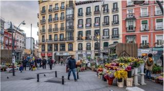 HOSTAL ANDREA SOL - 0