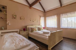 Balatonudvari Comfort House w AC by NW - 8