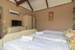 Balatonudvari Comfort House w AC by NW - 2