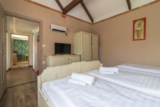 Balatonudvari Comfort House w AC by NW - 1