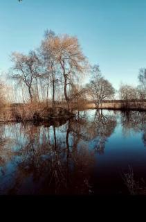 Cabin at the Gate to Österlen - 2