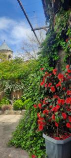 VILLA SABA WITH TWO BEDROOMS- სასტუმრო საბა - Mzcheta - 0