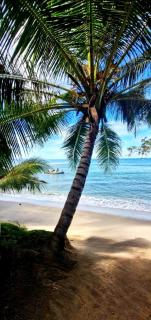 De BOUGENVILLE Tulap Beach Front - 1