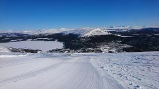 Brand-new cabin for rent at Lemonsjøen - 2