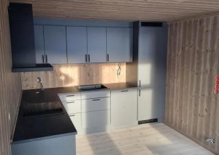 Brand-new cabin for rent at Lemonsjøen - 1