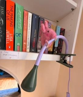 Cute, Quiet and Central - Self Check In - 4