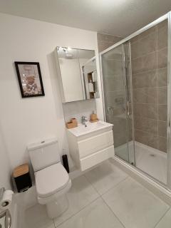 One bedroom beside Temple Bar - 5