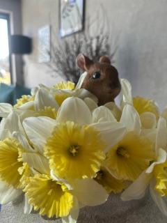 Cichy Zakątek Sasino - 8