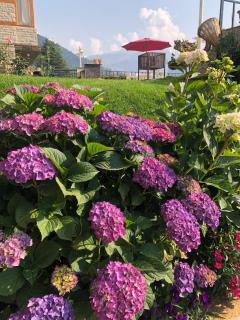 The Wisteria Villa - 9