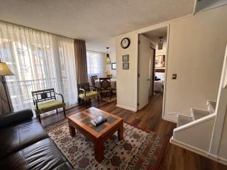 Decher Apartment - Puerto Varas - 1
