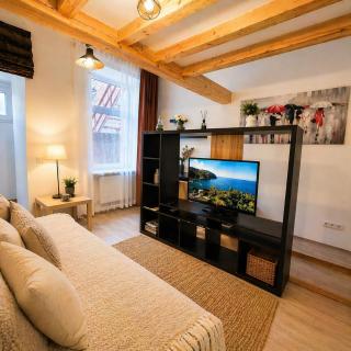 Giedrės Cozy Loft Old Town Bright Studio - 5