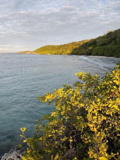 Our dream in blue - 5