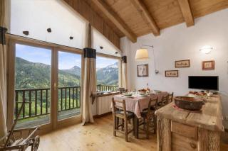 Gleise Lodge apartment - Happy Rentals - 9