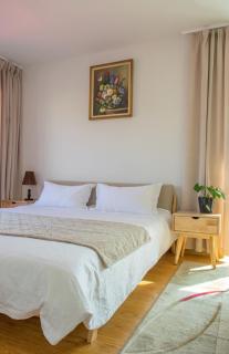 Beautiful sunny studio steps from State Dept Store - 9