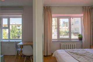 Beautiful sunny studio steps from State Dept Store - 7