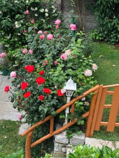 The Wisteria Cottage - 2