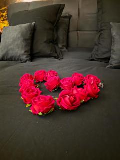 Chambre de charme, sauna, jacuzzi,billard VIP - 1