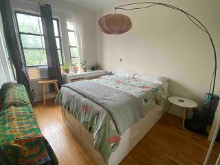 Cozy 2 bedroom apt in Manhattan - 4