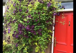 Mansefield Rooms - 8