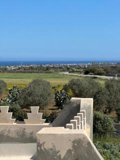 Charming quiet villa - 5