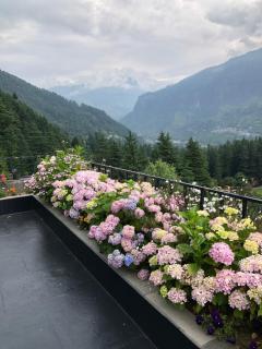 The Wisteria House - 5