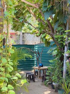 greenhouse holiday villa - 7