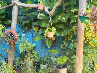 greenhouse holiday villa - 2