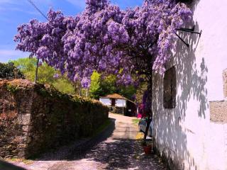 Casa Grande de Covas-Apartamentos Boutique Turísticos- Ribeira Sacra - 7